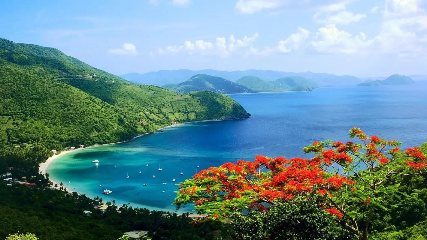 节能高端高标准